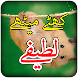 Urdu Latifay icon