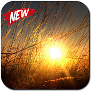 Sun Wallpapers  Icon