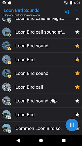 Loon Bird Sounds Screen 3