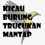 Cover Image of Download KICAU BURUNG TRUCUKAN MANTAP 2.0 APK