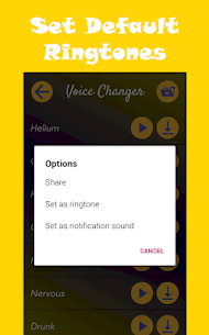 Change Your Voice (Voice Changer) 2019 4.0 Apk 4