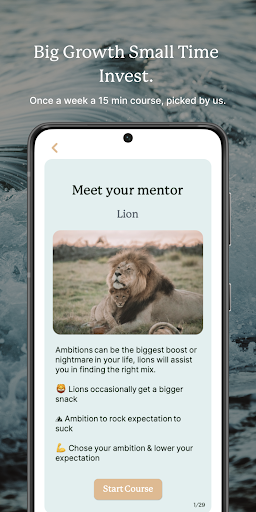 Wildya Screen 2