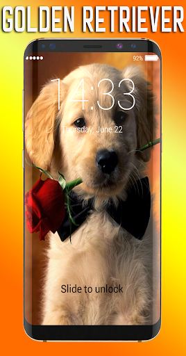 Android application Golden Retriever Lock Screen screenshort