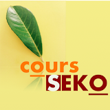 Cours Seko icon