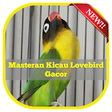 Masteran Kicau Lovebird Gacor icon