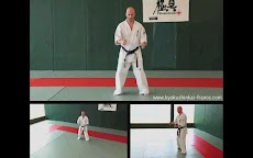 Kyokushin - Stances & Movesのおすすめ画像3