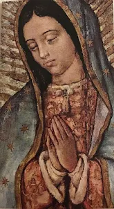 Virgin of Guadalupe image