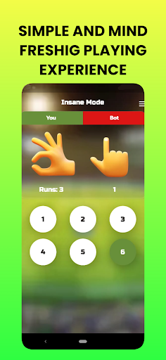 Easy Cricket - Offline Cricket Screen 3