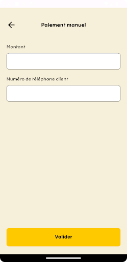 MTN MoMo Pay Screen 3