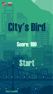 City's Bird