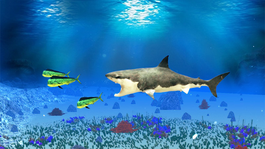 The Shark 4