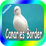 Best Canaries Roller icon