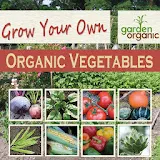 GROWING ORGANIC VEGETABLES icon
