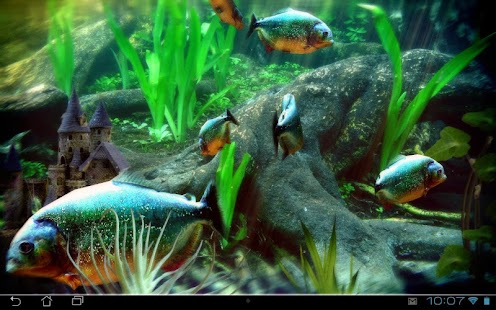 Screenshot dell'Acquario Piranha 3D lwp
