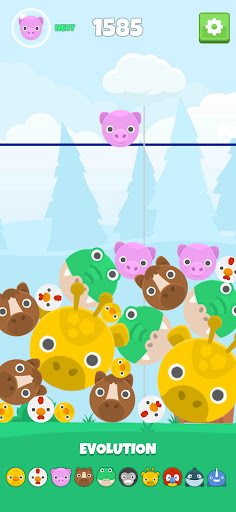 Pet Merge No More Watermelon