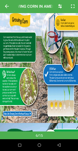 Growing Corn In America Screen 2