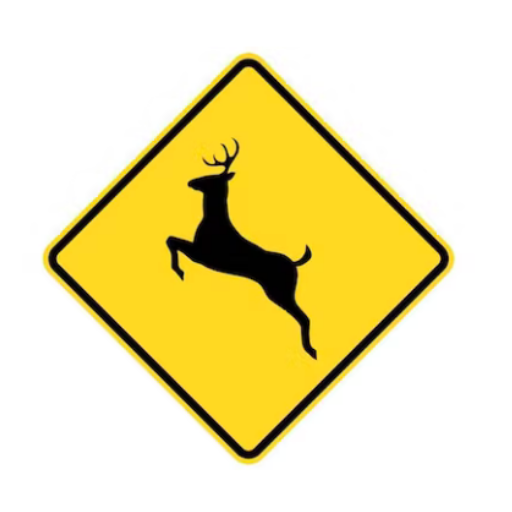 Driving Road Signs Logo