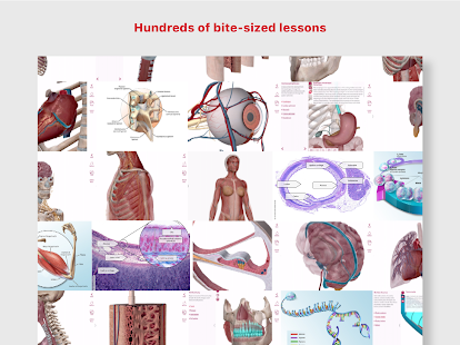 Anatomi ve Fizyoloji Ekran Görüntüsü