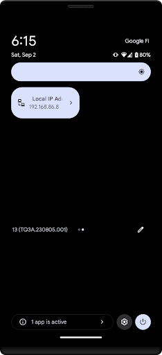 IP Address Tile Screen 3
