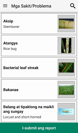 Rice Doctor Tagalog Screen 3