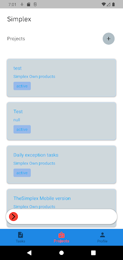 Simplex Team Screen 2