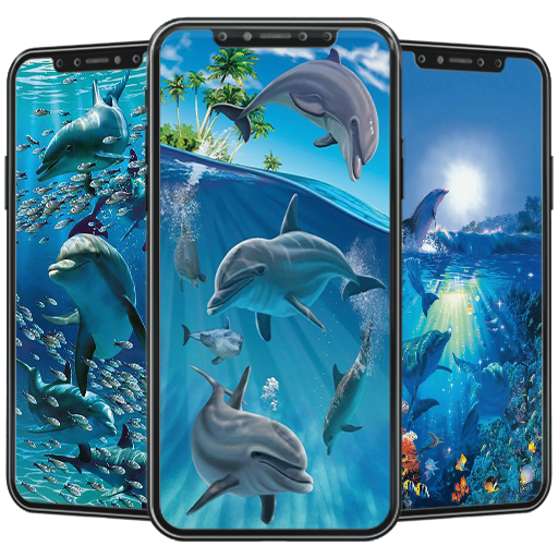 Dolphin Wallpaper  Icon