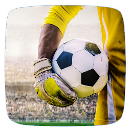 Icon image How to Become a Goalkeeper