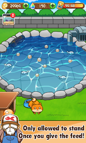 Goldfish Collection 2.4.1 APK + Mod (Free purchase) for Android