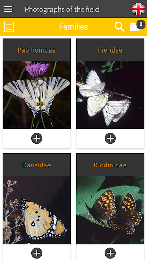 BUTTERFLIES - The book Screen 2