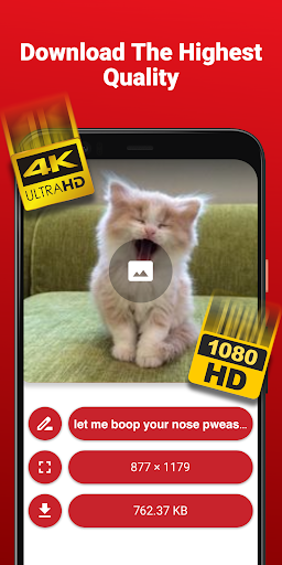 Video Downloader for Pinterest Screen 3