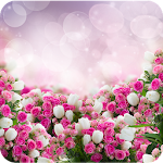 Cover Image of 下载 Rose Wallpapers  APK