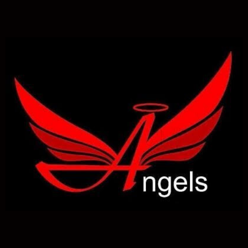 ANGEL ACADEMY logo