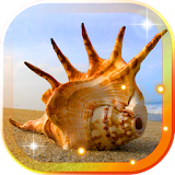 Sea Shells Beach LWP icon