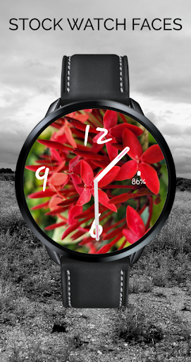 Floral Stock Watch Face Screen 2