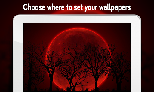 Updated Red Wallpaper 4k For Pc Mac Windows 11 10 8 7 Android Mod Download 22