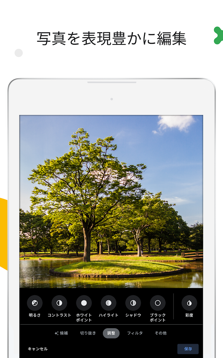 Google フォト screenshot 10