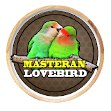 Masteran chirping lovebird icon