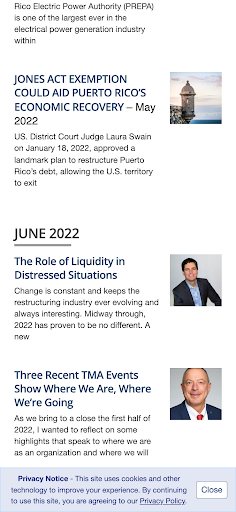 Journal of Corporate Renewal screenshot 4