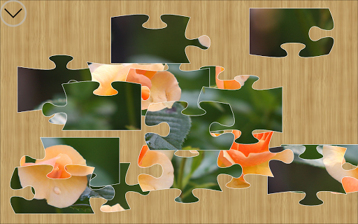 Jigsaw Puzzle