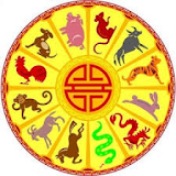 Chinese Zodiac with Swipe icon