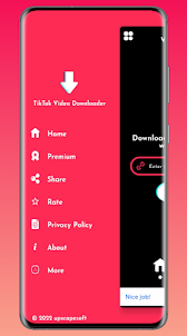 TikMeta - TT Video Downloader