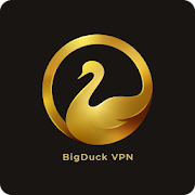 Big Duck: Free Premium VPN 2020