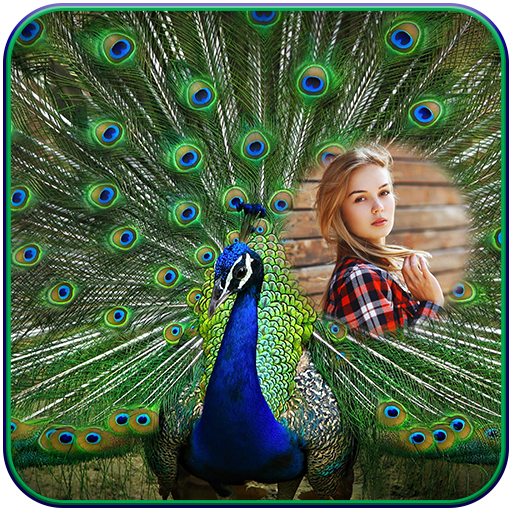 Peacock Photo Frames  Icon