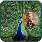 Peacock Photo Frames