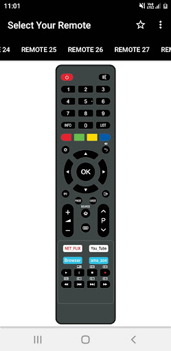 Crown TV Remote