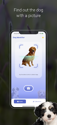 Dog Scanner: Breed Identifier Screen 3