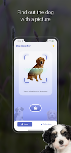 Dog Scanner: Breed Identifier Apk For Android 3