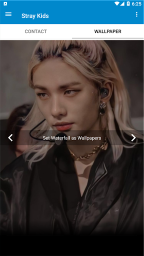 Stray Kids Chat & Video Call Screen 3