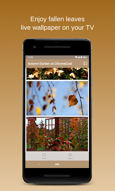 Autumn Garden on Chromecastのおすすめ画像4