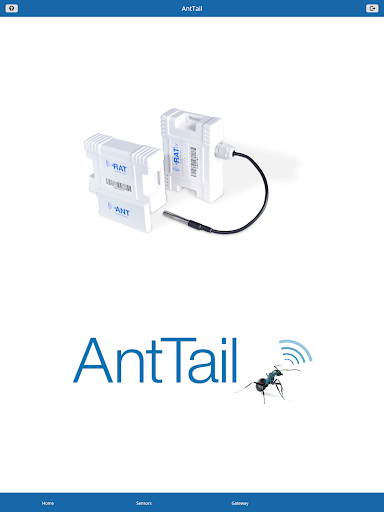 AntTail Screen 3